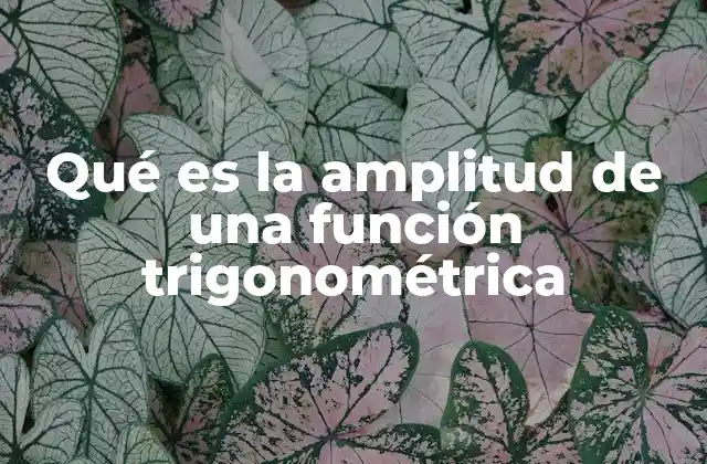 Qué es la Amplitud de una Función Trigonométrica