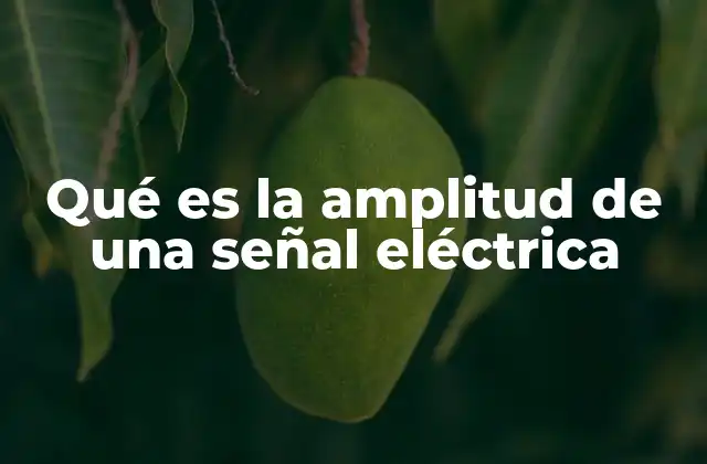 Qué es la Amplitud de una Señal Eléctrica