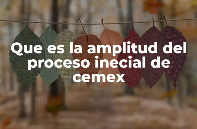 Que es la Amplitud Del Proceso Inecial de Cemex