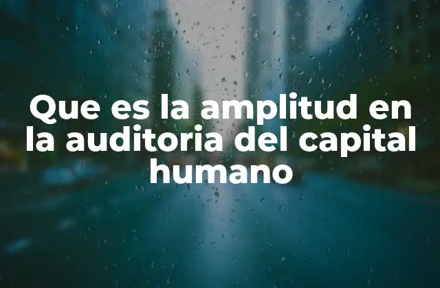 Que es la Amplitud en la Auditoria Del Capital Humano