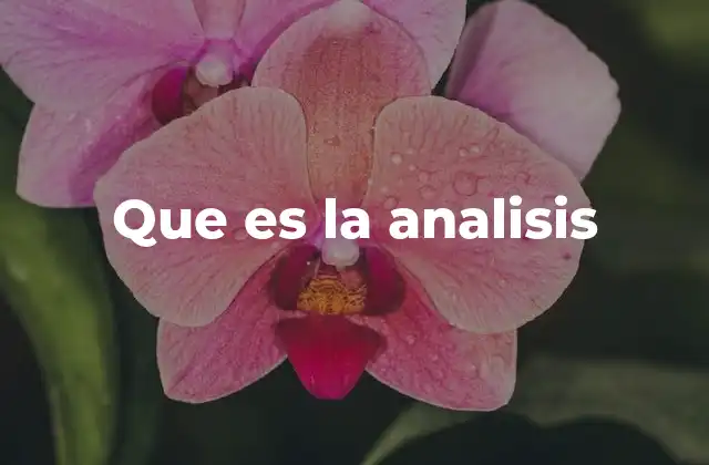 Que es la Analisis