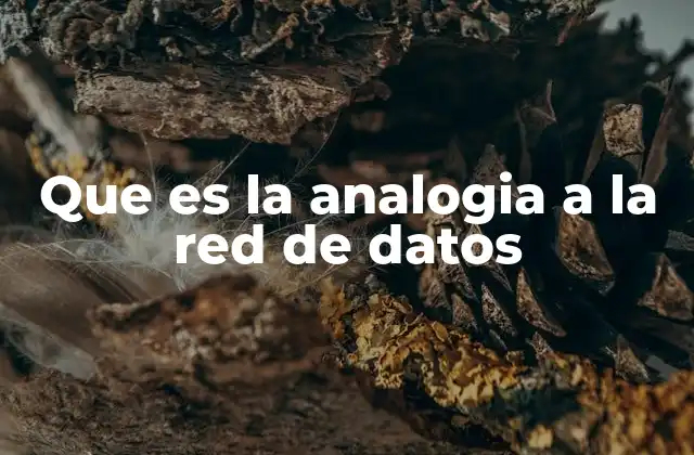 Que es la Analogia a la Red de Datos