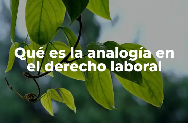 Qué es la Analogía en el Derecho Laboral