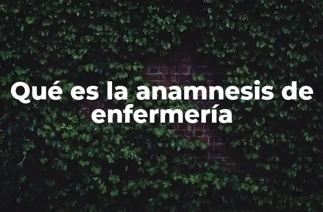 Qué es la Anamnesis de Enfermería