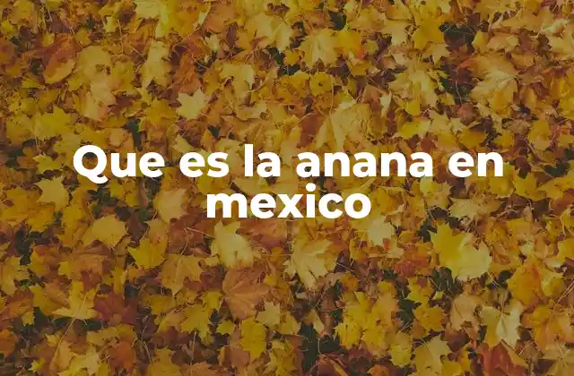 Que es la Anana en Mexico