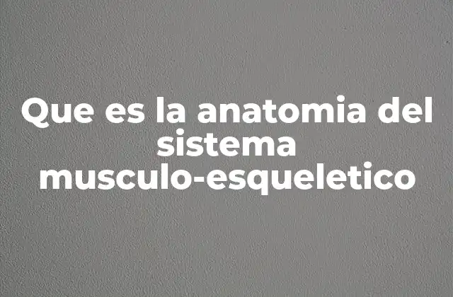 Estructura básica del sistema musculoesquelético