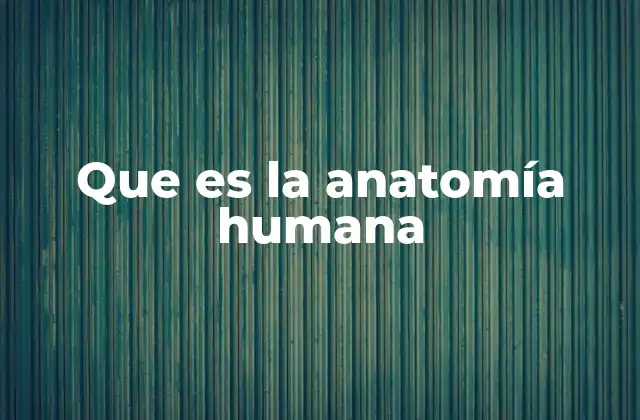 Que es la Anatomía Humana