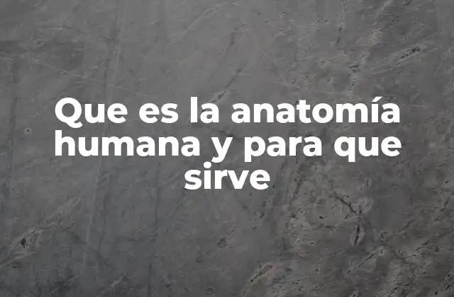 El estudio del cuerpo humano y su importancia en la medicina