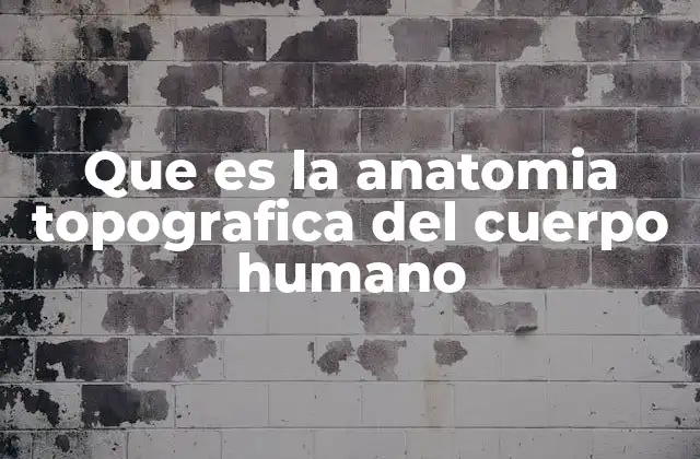 Que es la Anatomia Topografica Del Cuerpo Humano