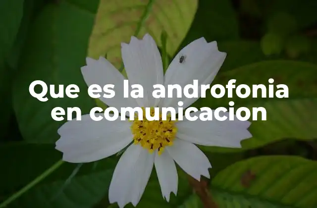 Que es la Androfonia en Comunicacion