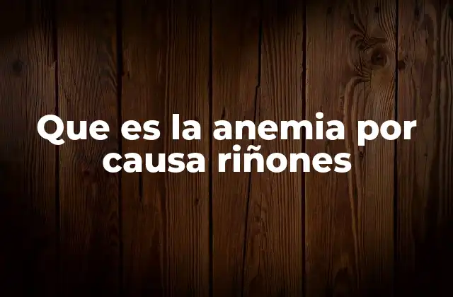 Que es la Anemia por Causa Riñones