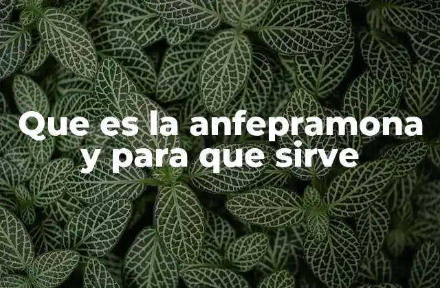 Que es la Anfepramona y para que Sirve