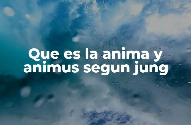 Que es la Anima y Animus Segun Jung