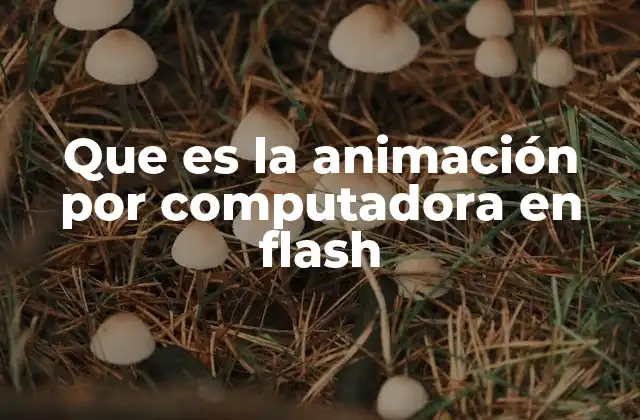 Que es la Animación por Computadora en Flash