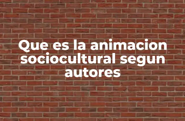 Que es la Animacion Sociocultural Segun Autores