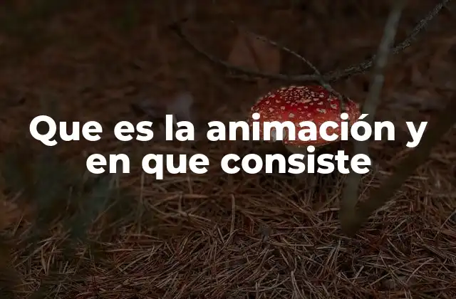 Que es la Animación y en que Consiste
