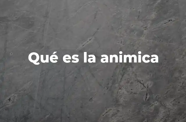 Qué es la Animica