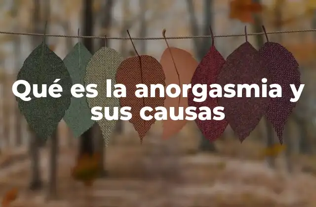 Qué es la Anorgasmia y Sus Causas