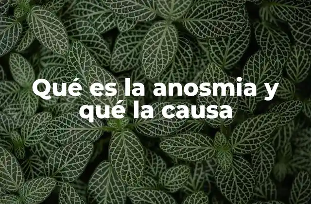 Qué es la Anosmia y Qué la Causa
