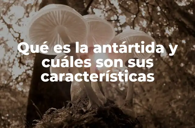 Qué es la Antártida y Cuáles Son Sus Características