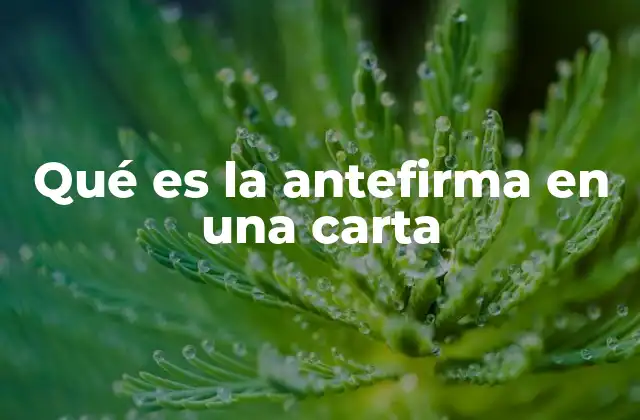 Qué es la Antefirma en una Carta