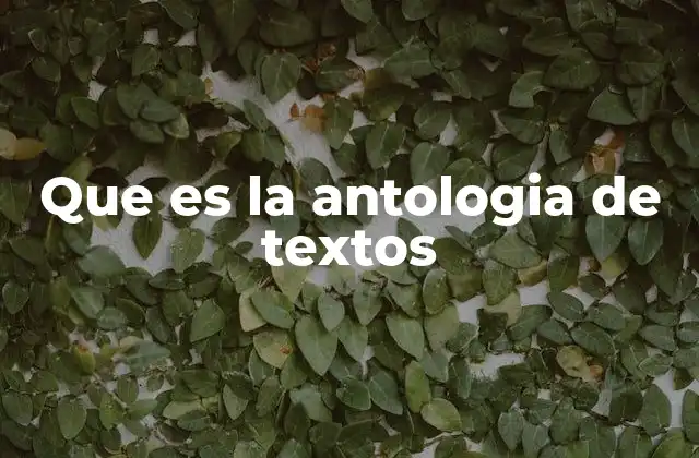 Que es la Antologia de Textos