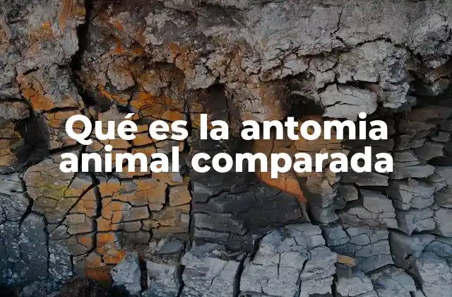 Qué es la Antomia Animal Comparada