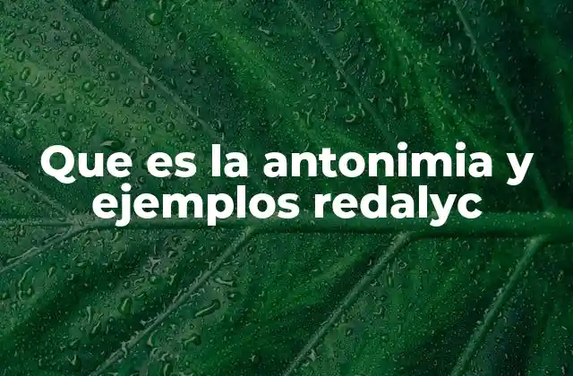 Que es la Antonimia y Ejemplos Redalyc