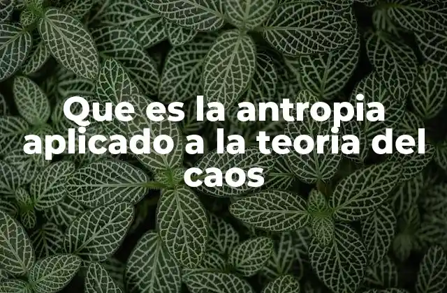 Que es la Antropia Aplicado a la Teoria Del Caos 2 La interacción entre observador y sistema caótico