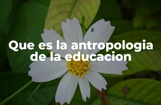 Que es la Antropologia de la Educacion