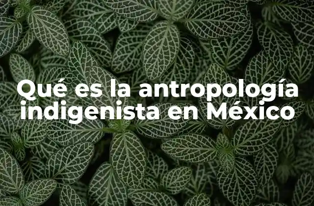Qué es la Antropología Indigenista en México 2 El rol de la antropología en la defensa de los derechos indígenas