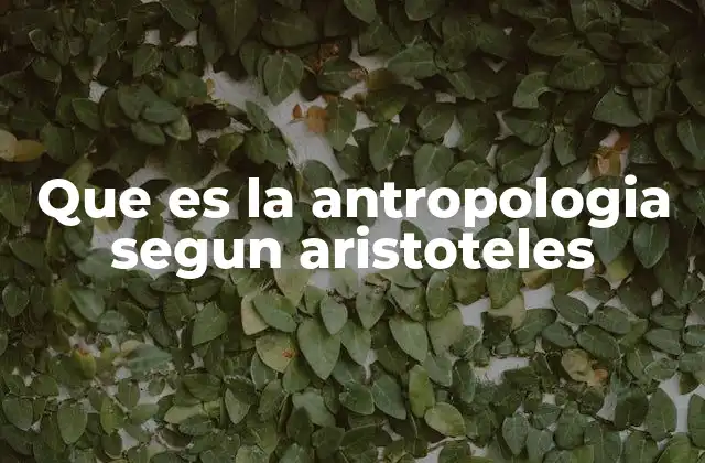 Que es la Antropologia Segun Aristoteles 2 El hombre como centro del universo según Aristóteles