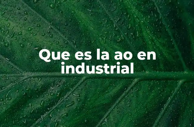 El papel de las AO en la gestión industrial