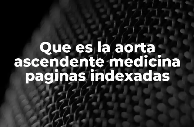 Que es la Aorta Ascendente Medicina Paginas Indexadas