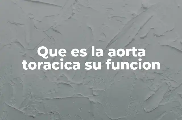 Estructura anatómica de la aorta torácica