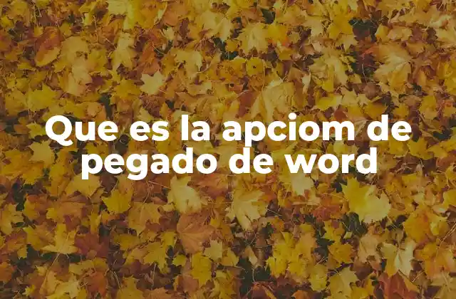 Que es la Apciom de Pegado de Word