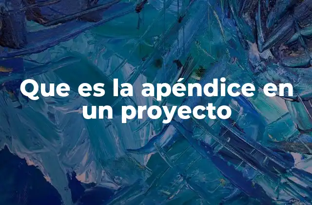 Que es la Apéndice en un Proyecto