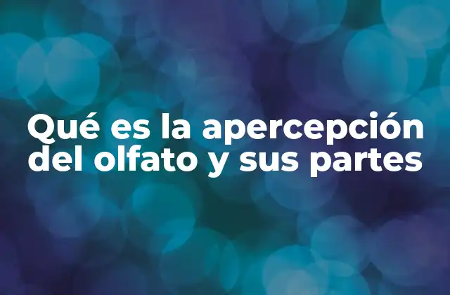 Qué es la Apercepción Del Olfato y Sus Partes