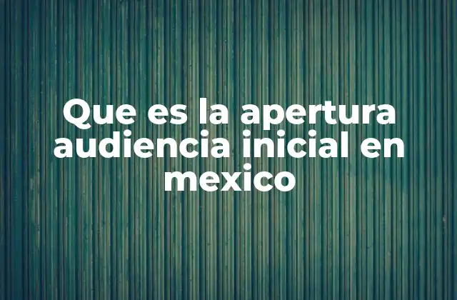 Que es la Apertura Audiencia Inicial en Mexico