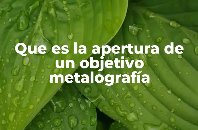 Que es la Apertura de un Objetivo Metalografía