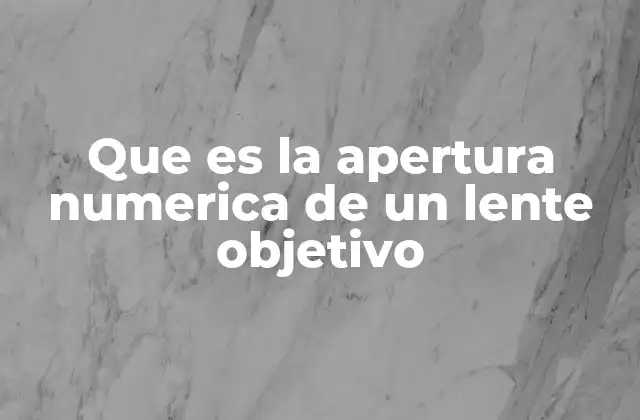 Que es la Apertura Numerica de un Lente Objetivo