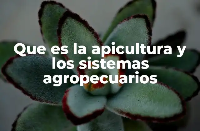 Que es la Apicultura y los Sistemas Agropecuarios