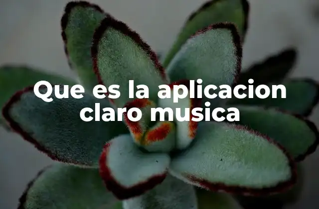 Que es la Aplicacion Claro Musica