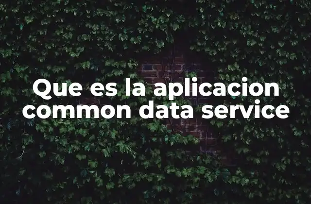 Cómo Common Data Service se integra con otras herramientas empresariales