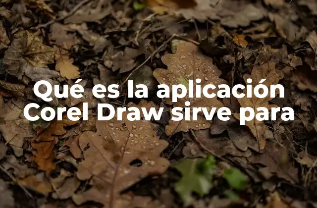 Qué es la Aplicación Corel Draw Sirve para