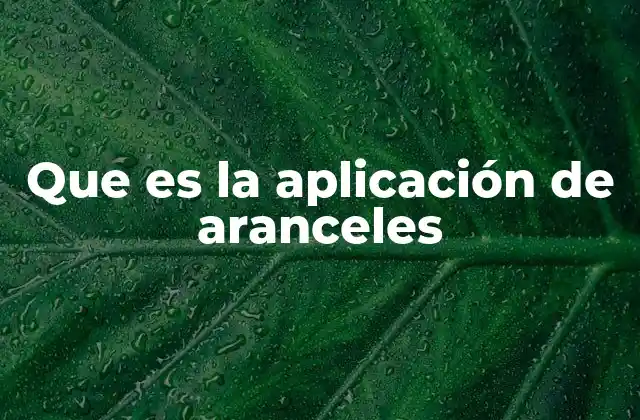 Que es la Aplicación de Aranceles
