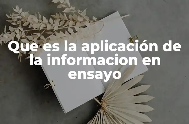 Que es la Aplicación de la Informacion en Ensayo