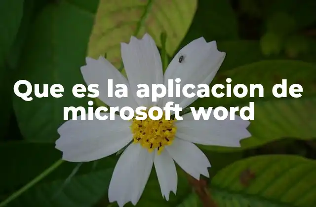 Que es la Aplicacion de Microsoft Word