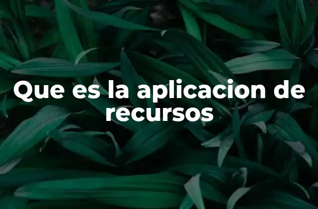 Que es la Aplicacion de Recursos