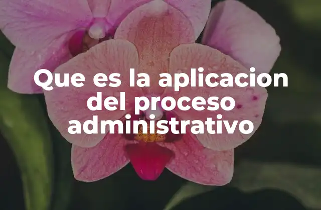 Que es la Aplicacion Del Proceso Administrativo 2 El rol del proceso administrativo en la toma de decisiones organizacionales
